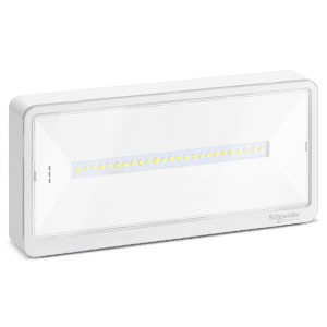 Emergency luminaire, Exiway Light, Standard, selectable duration, 250lm, IP65, white