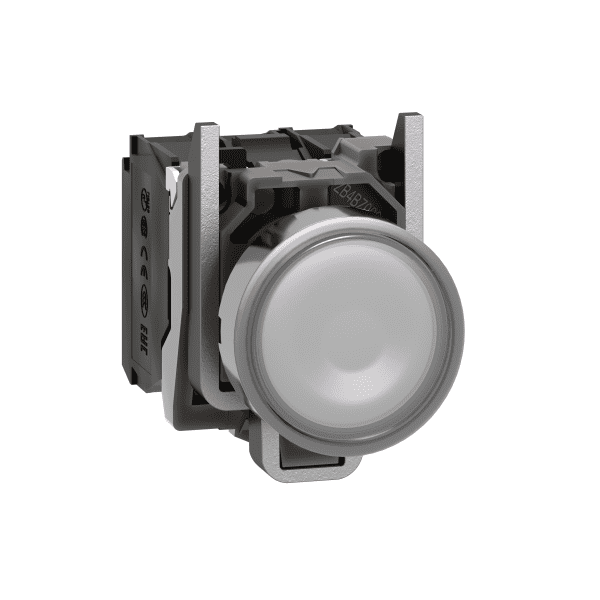 Illuminated push button, Harmony XB4, metal, white flush, 22mm, universal LED, plain lens, 1NO + 1NC, 24V AC DC